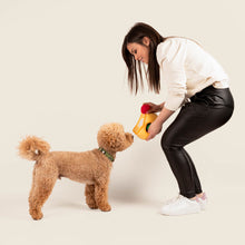 Load image into Gallery viewer, Dog &amp; owner interaction with dog toy
